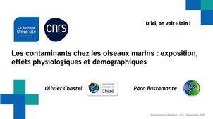 Les contaminants chez les oiseaux marins : exposition, effets physiologiques et démographiques