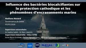 Thèse de Maëlenn MENARD