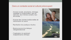 Les Wayana dans la cyber-jungle. Restitution collaborative et archivage numérique en Guyane française