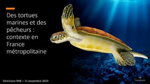 Tortues marines : suivi des signalements en Atlantique et Méditerranée.