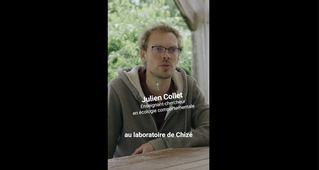 Portrait de Julien Collet, enseignant-chercheur en écologie