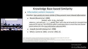 Text similarity and analogy computation in temporal document collections /1