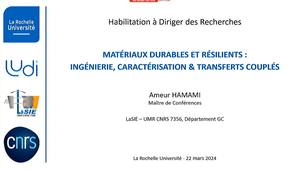 HDR de Ameur HAMAMI