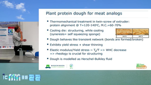 Flow of plant protein doughs in extruder dies