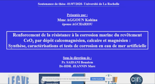 Thèse de Kahina AGGOUN