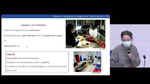 Mise en oeuvre du niveau 3 d’examen interne: fiches techniques et guide méthodologique