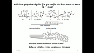 Introduction au matériau Bois