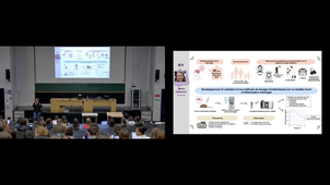 Développement et validation d'une méthode de dosage d'antibiotiques sur un modèle murin d'inflammatiopn méningée