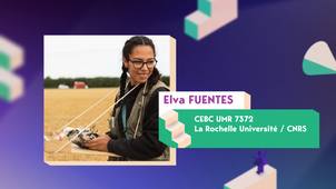 MT180 Elva FUENTES