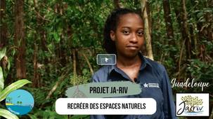 capsule 3 : Projet JA-RIV : recréer des espaces naturels, mangroves et forêts marécageuses avec le conservatoire du littoral en Guadeloupe