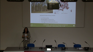 Durability of wood based materials
