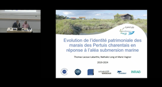 L’impact du changement climatique sur le patrimoine maritime et littoral et comment peut-il s’adapter pour perdurer ? Le cas du Marais Poitevin et des zones humides : l’importance des zones humides côtières, les risques climatiques encourus ...