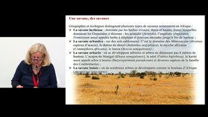Ouvrage Histoire de la forêt, CNRS éditions