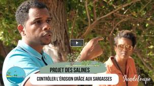 capsule 4 : projet des Salines : contrôler l'érosion grâce aux sargasses (Le Gosier - Guadeloupe)