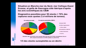 La surexploitation des ressources halieutiques européennes : quelle réalité ?