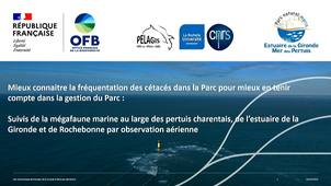 Le Parc naturel marin de l’estuaire de la Gironde et de la   mer des Pertuis et sa fréquentation par la mégafaune marine.
