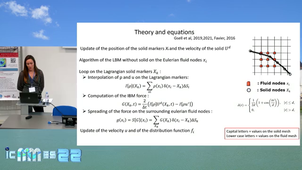 A lattice-Boltzmann solver coupled to an immersed boundary method with applications to turbulent flows