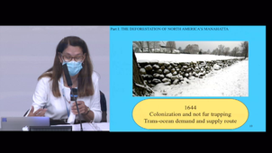 Occupy the Law : The Cases of Deforestation on Pre-colonial Manhattan and in Today's Amazon, Giving Rise to a New Movement Seeking Greater Justice for All on Earth