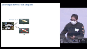 Echouages de dauphins communs et captures dans les engins de pêche en 2021