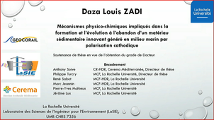 Thèse de Daza Louis ZADI