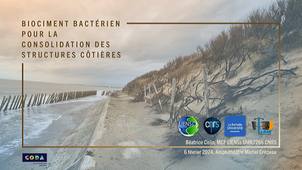 Biociment bactérien pour la consolidation des structures côtières