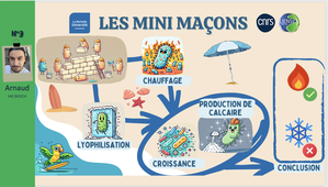 Les mini maçons