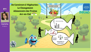 De carnivore à végétarien : le changement alimentaire des truites arc-en-ciel