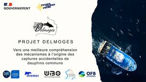 Vers une meilleure compréhension des mécanismes à l’origine des captures de dauphins communs : projet Delmoges.