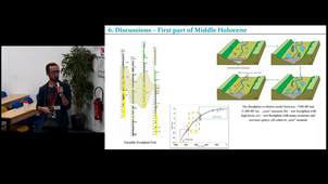 Vegetation and environmental changes during middle and late Holocene recorded in the upper Danube Delta (Romania)