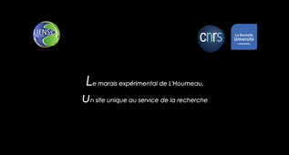 Le marais expérimental de l'Houmeau