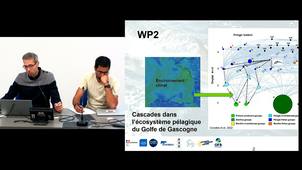 WP2 Cascades dans les écosystèmes
