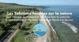 Capsule 5 : Revégétalisation des plages à La Réunion