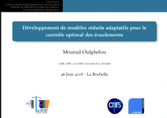 Thèse de Mourad OULGHELOU