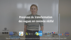 Processus de dissipation des vagues dans la zone de déferlement en présence de forte rugosité