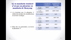 Analyse phonologique comparative entre le mandarin standard et le mandarin de Shenyang appartenant au mandarin du nord-est