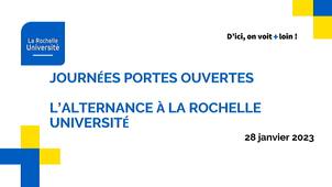 Les dispositifs de l’alternance