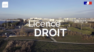 Licence droit