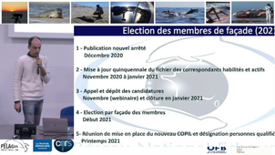 Restitution de la réunion annuelle du Comité de Pilotage du RNE