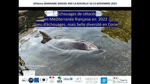 Les échouages sur les côtes françaises en 2022 : Méditerranée