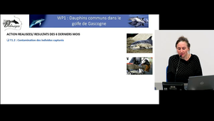 Fait marquants WP1