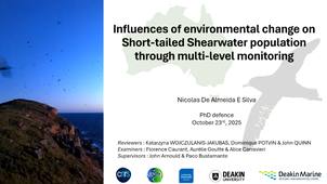 Thèse de Nicolas DE ALMEIDA E SILVA