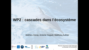 Présentation du WP2 : Cascades dans l’écosystème