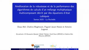 Exposé du sujet BRGM Orléans