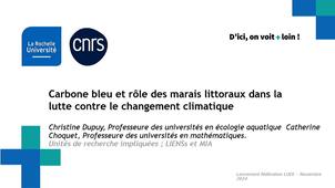 Carbone bleu et rôle des marais littoraux dans la lutte contre le changement climatique
