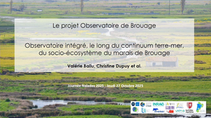 Le projet Observatoire de Brouage Observatoire intégré, le long du continuum terre-mer, du socio-écosystème du marais de Brouage