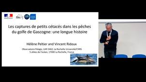 CONFERENCE PUBLIQUE:  Pêcheurs et dauphins du golfe de Gascogne: une longue histoire…