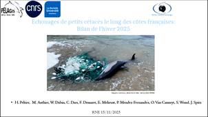 Bilan de le fermeture de la pêche dans le golfe de Gascogne, hivers 2023-2024 et 2024-2025