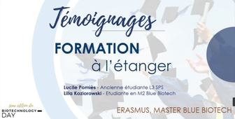 Etudes à l’internationale