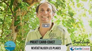 capsule 2 : projet CARIB-COAST : revégétaliser les plages pour réduire l'érosion côtière