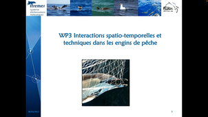 Présentation du WP3 : Interactions dauphins-pêcheries